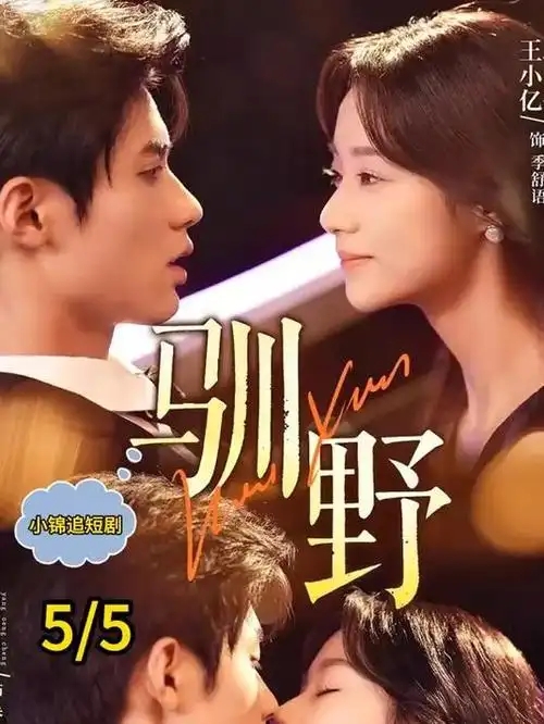 白塔之光 文艺家庭剧在线观看
